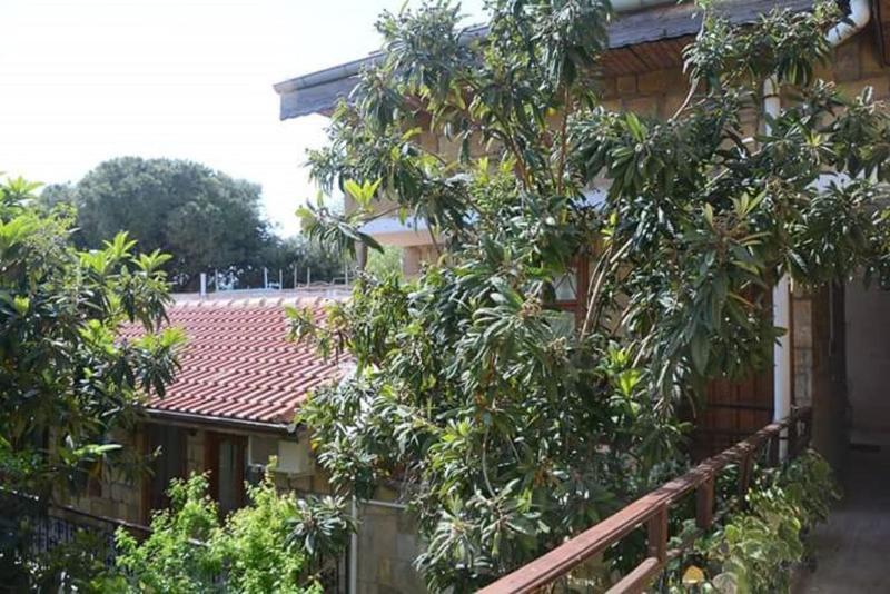 Antonios Motel Side Exteriér fotografie